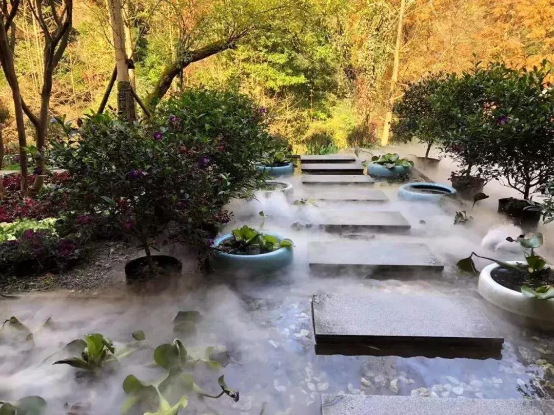 青城山隐居民宿幽悟原宿,睡进乡野民宿