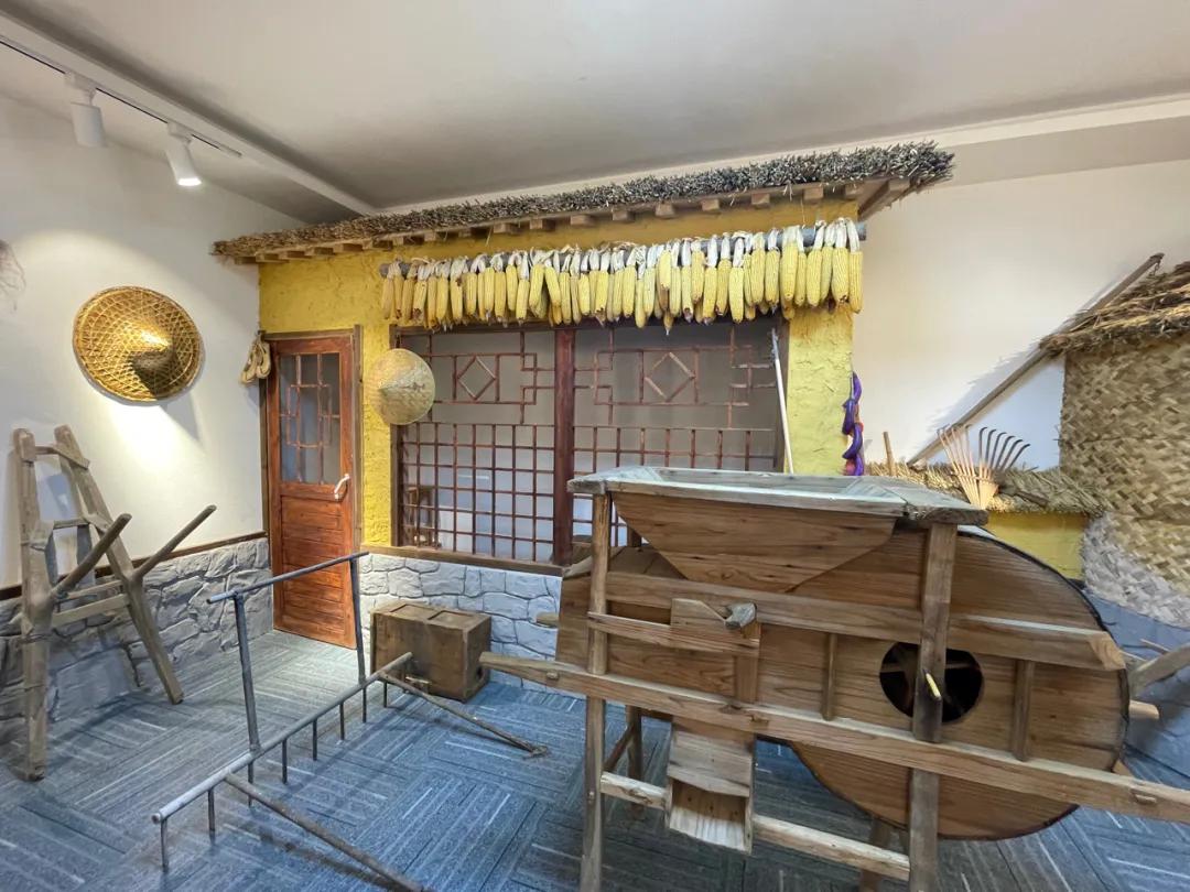 一个小城的夏天,夏天的城市处处都很治愈