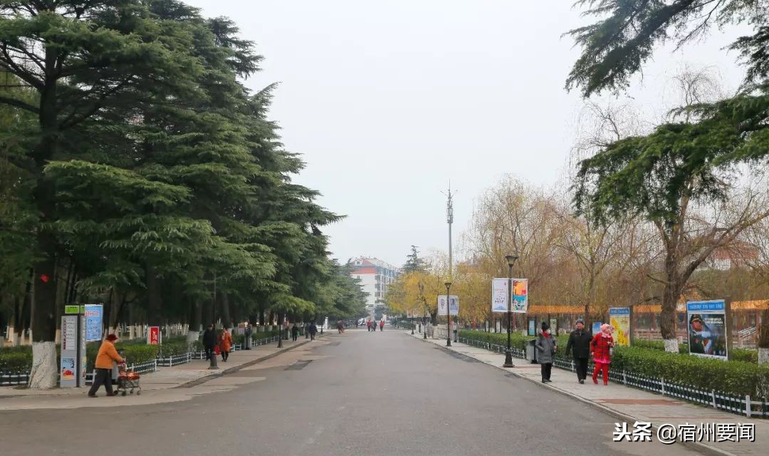 环境美丽清新打造文明服务品牌——宿州烈士陵园“华丽变身”