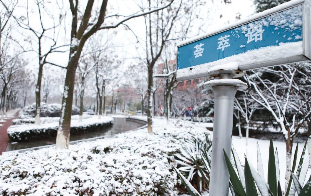 中国石油大学华东缺点,中国石油大学华东为什么考数二