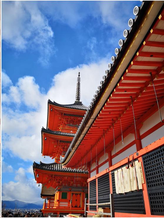 来到日本不能错过章鱼小丸子,来东京不能错过的地方