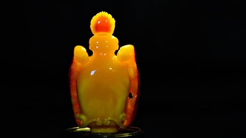 头骨最值钱鸟,头骨很珍贵的鸟