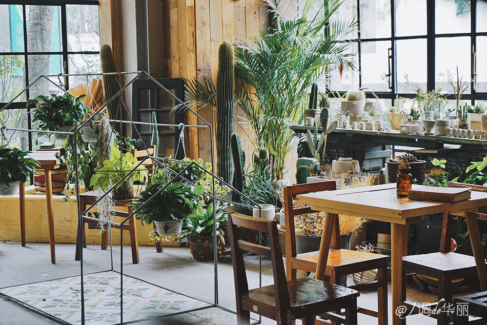 厦门没去过的地方,厦门没去过的景点