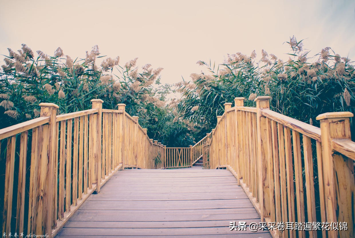 慢游景点,博斯腾湖景点打卡