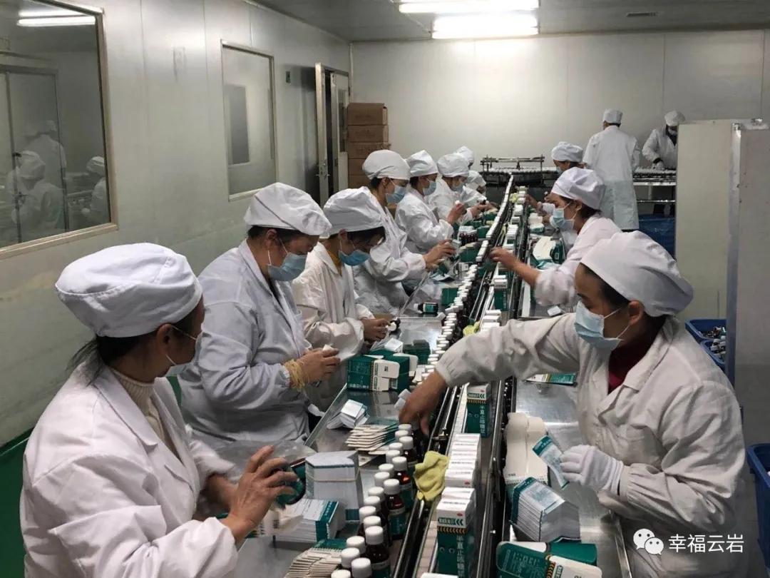 车间转起来，机器响起来，推土机动起来……云岩经济“马达”轰鸣声又起