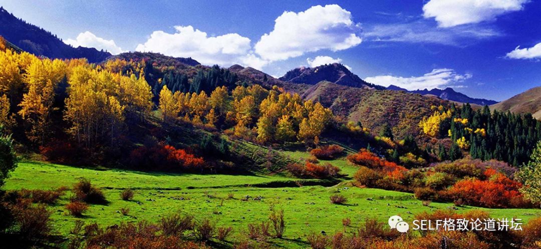 新疆天山申请世界自然遗产,天山为什么被入选为世界自然遗产