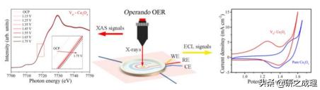 鍌寲鍛ㄦ姤,鍌寲蹇姤鏈熷垔