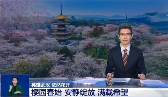 足不出户的春天，让这些樱花好物来治愈你ッ