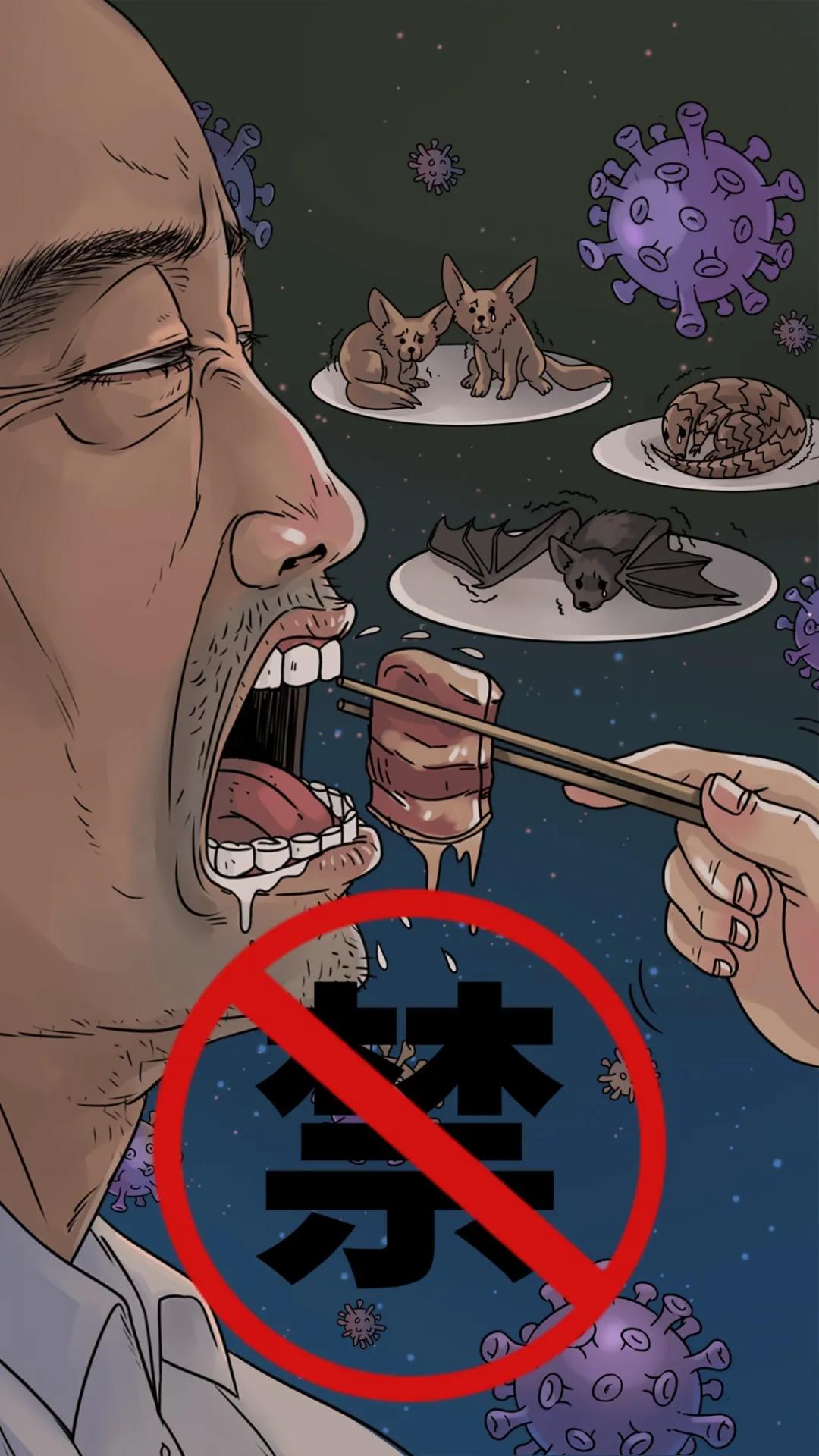 哪些野生动物不能吃?野生动物名录了解一下