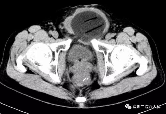 冰雕细琢流光溢彩,冰雕刺身雕刻