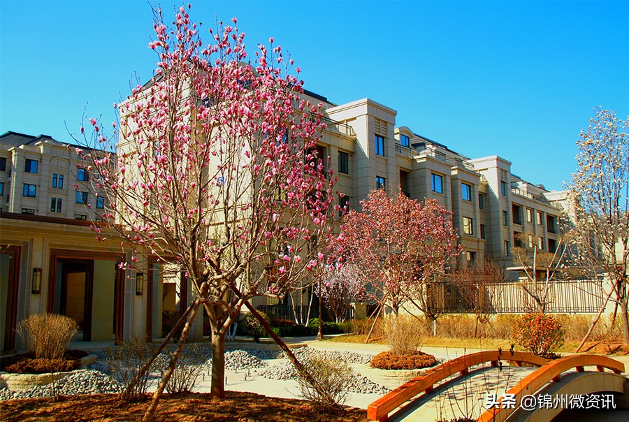 锦州金城天御样板间,锦州金城天御二期效果图