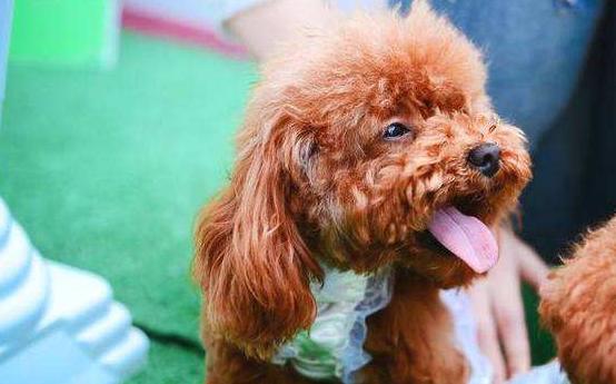 做好这五件事才能做得更好,做好这5件事让你快乐起来