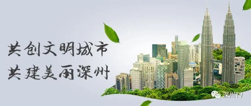 2019年深州市医院招聘人员名单,2017年深州市医院招聘