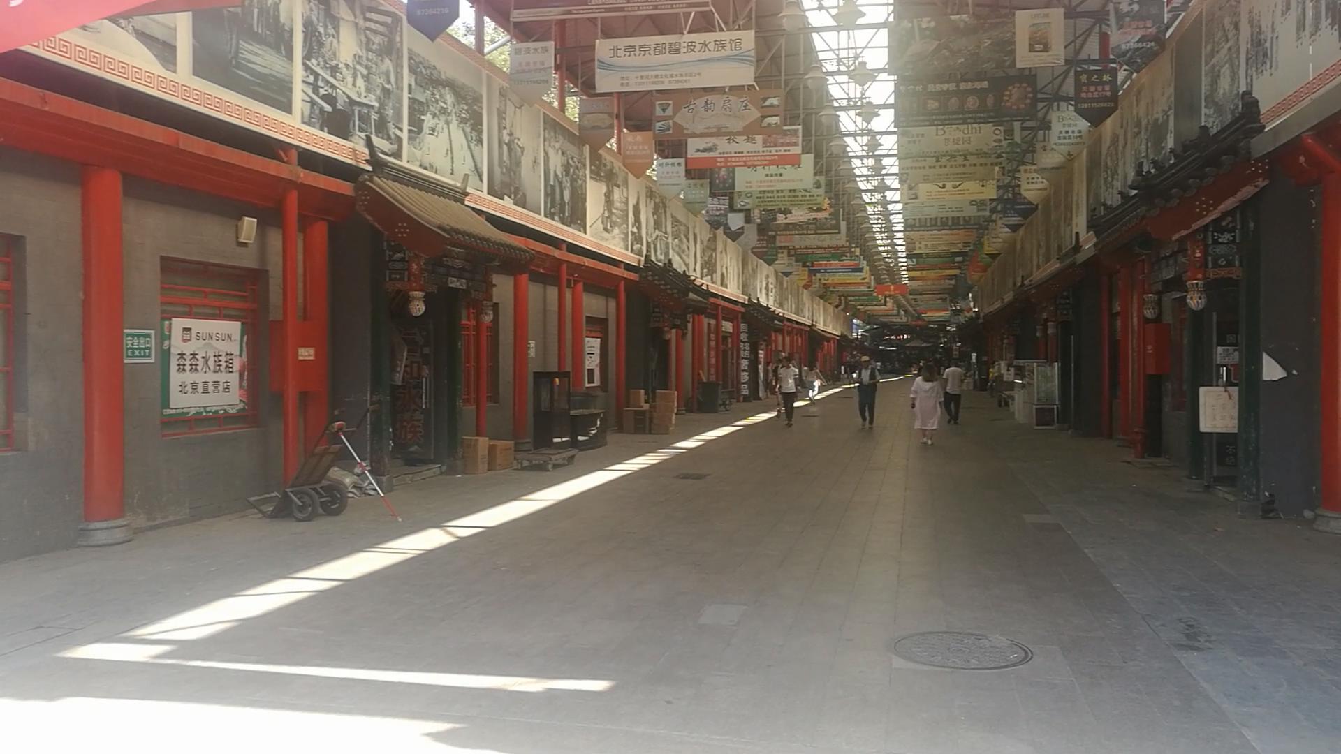 2020年北京观赏鱼批发市场夜市,观赏鱼夜市北京