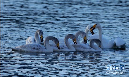 朝阳天气辽宁省朝阳市,辽宁省朝阳市几线城市