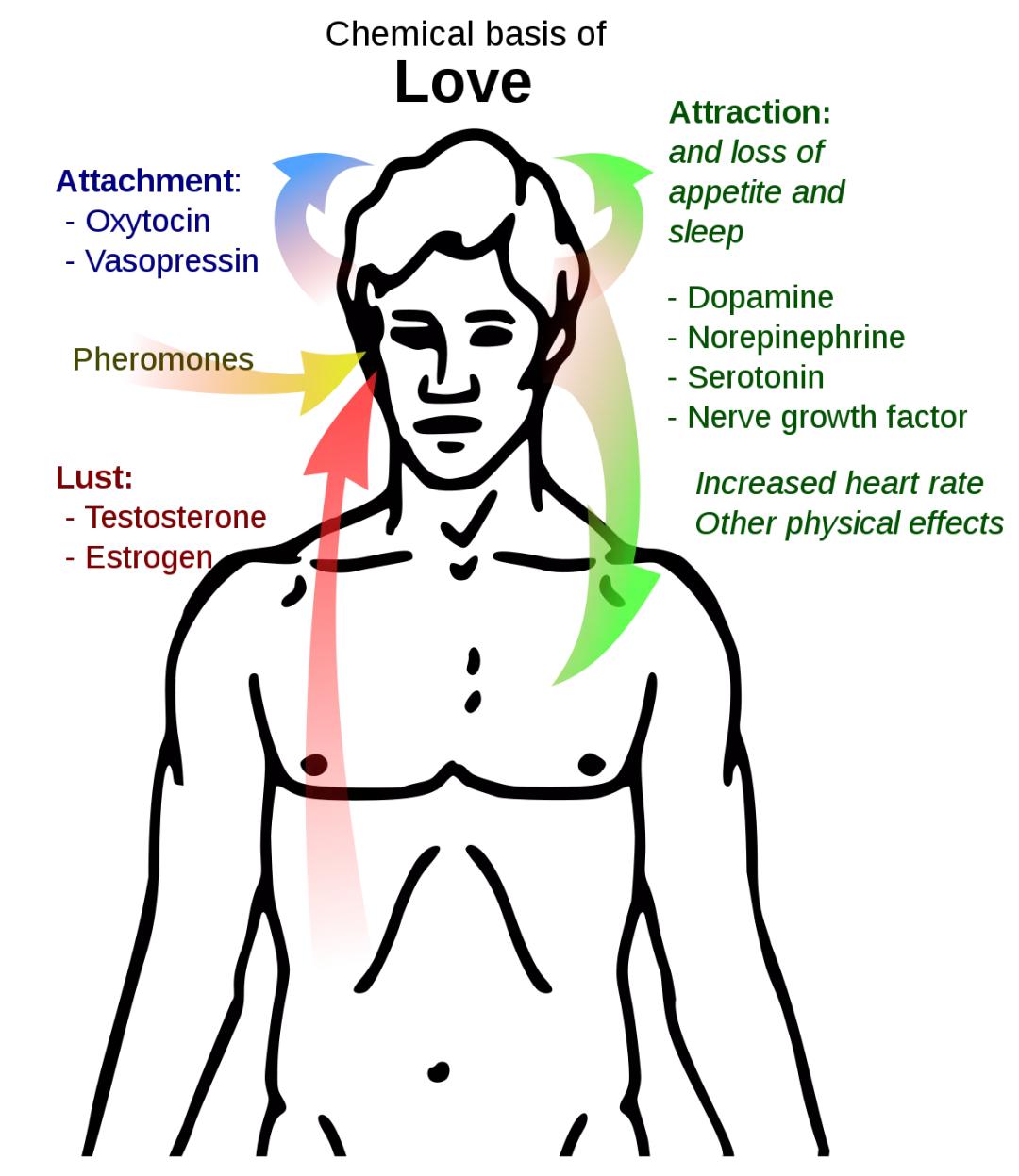 燃烧脂肪的时候会嘴臭吗,脂肪燃烧的表现减肥人士必须了解