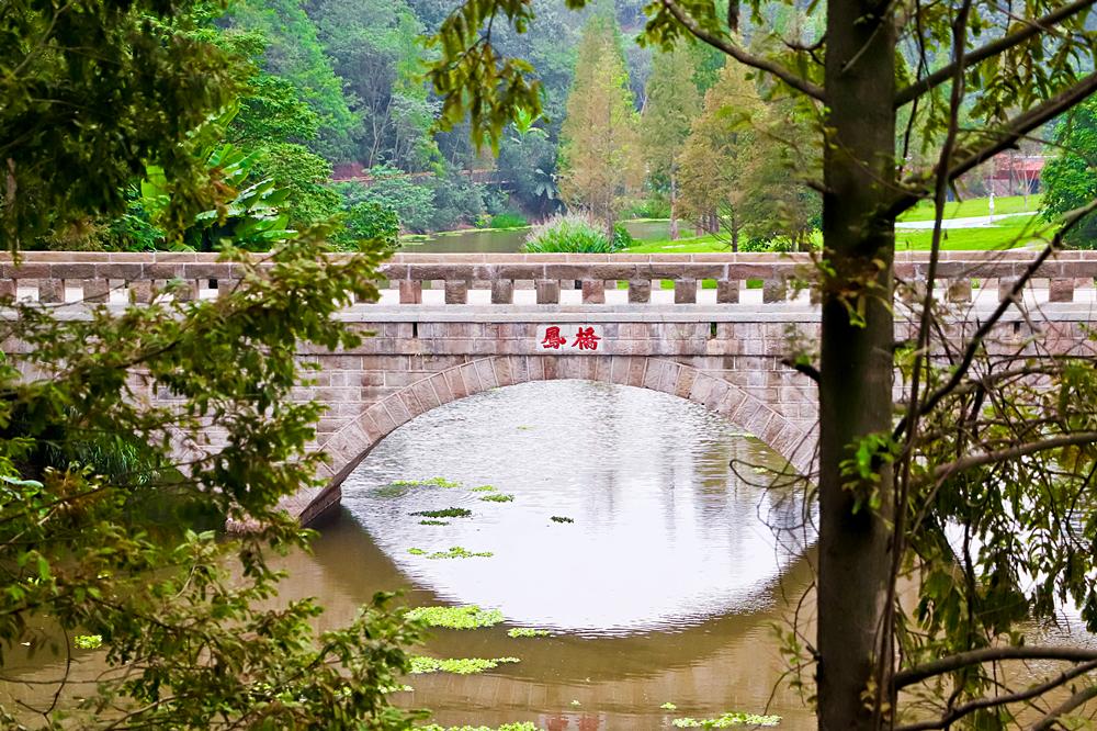 泸州新建的足球场有哪些,泸州大型公园