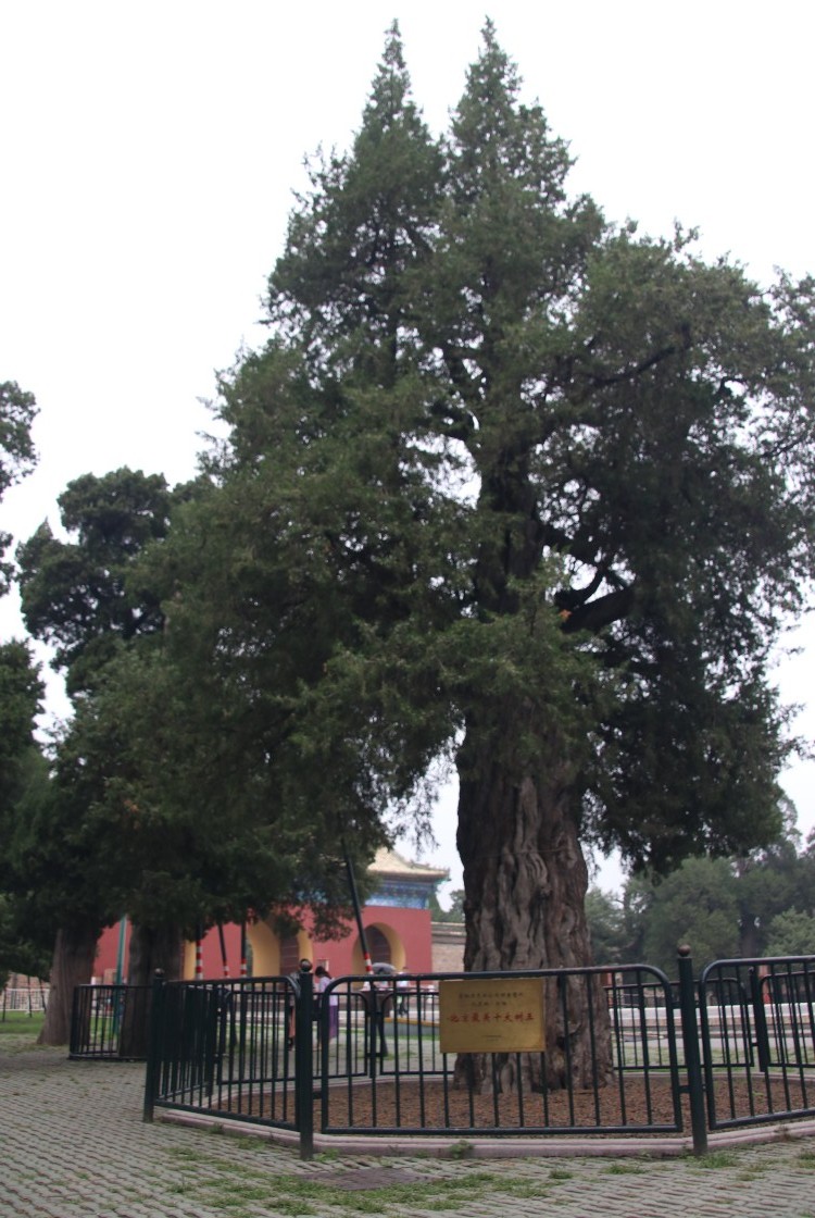 天坛同一天出去后能再次进入吗,告别天坛