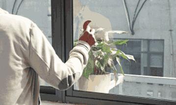 加湿加氧 (煮开水加湿对身体有害吗)