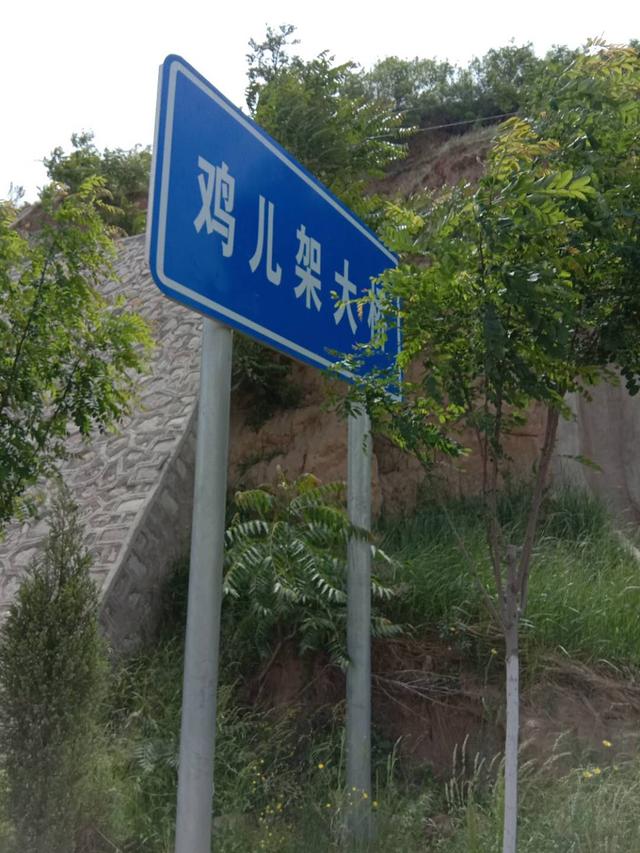 甘谷金山农民作家张志刚,甘谷徒步张志刚