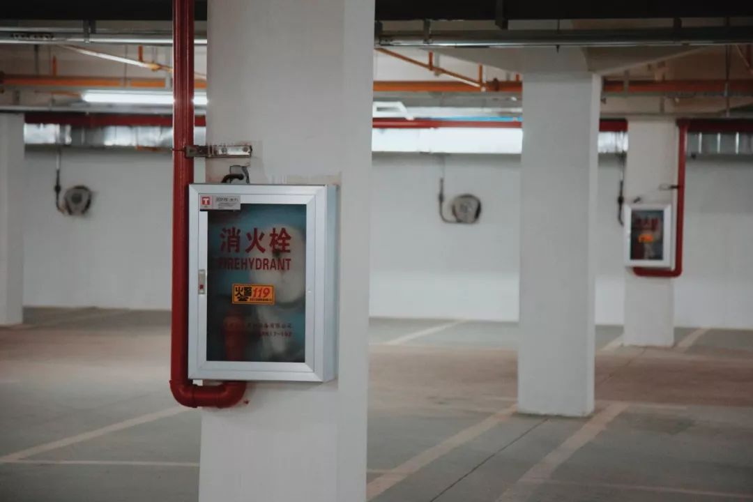 走，带你去看黄家湖畔的“蓝马甲”