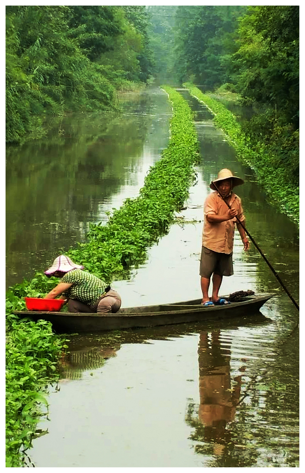 海安市曲塘,江苏海安市曲塘