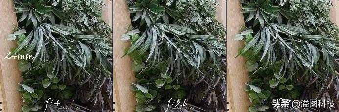 佳能rf351.4镜头评测,佳能rf14-35mmf4拍摄效果