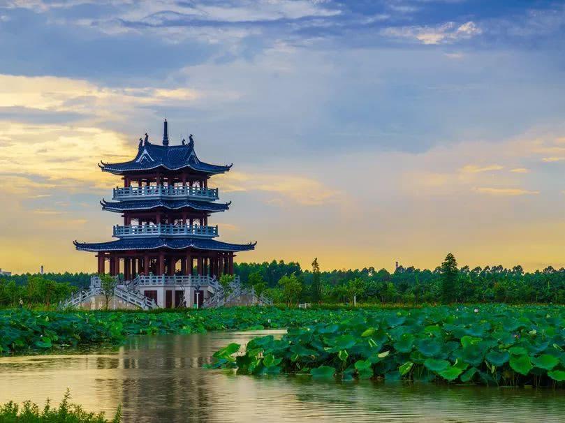 东莞麻涌美丽田园,东莞麻涌田园生活