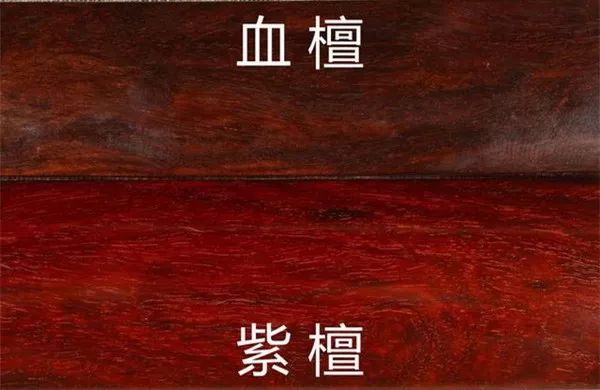 红木血檀最新消息,血檀带出去丢人吗