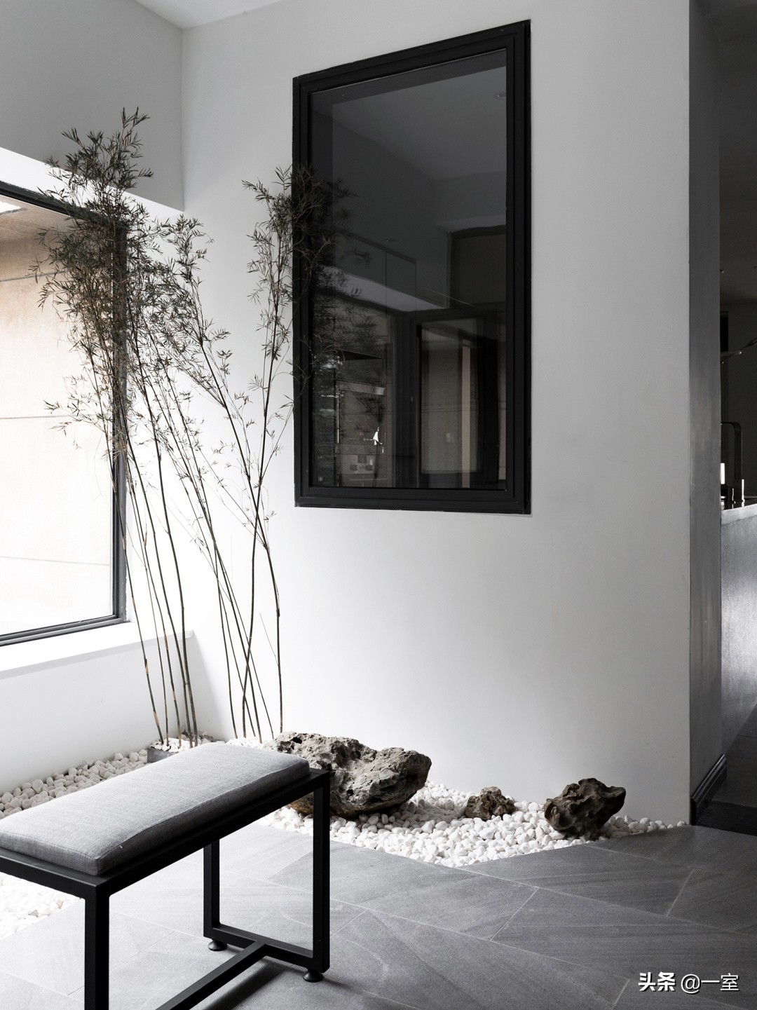 网红庭院植物搭配,网红绿植搭配技巧