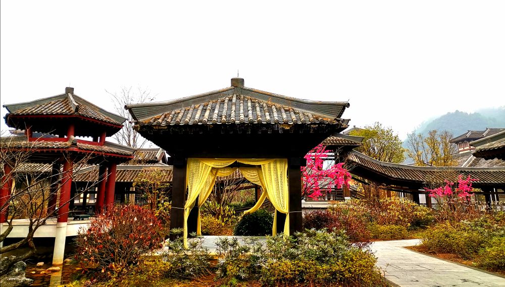 都匀茶旅小镇,都匀毛尖茶园基地游玩