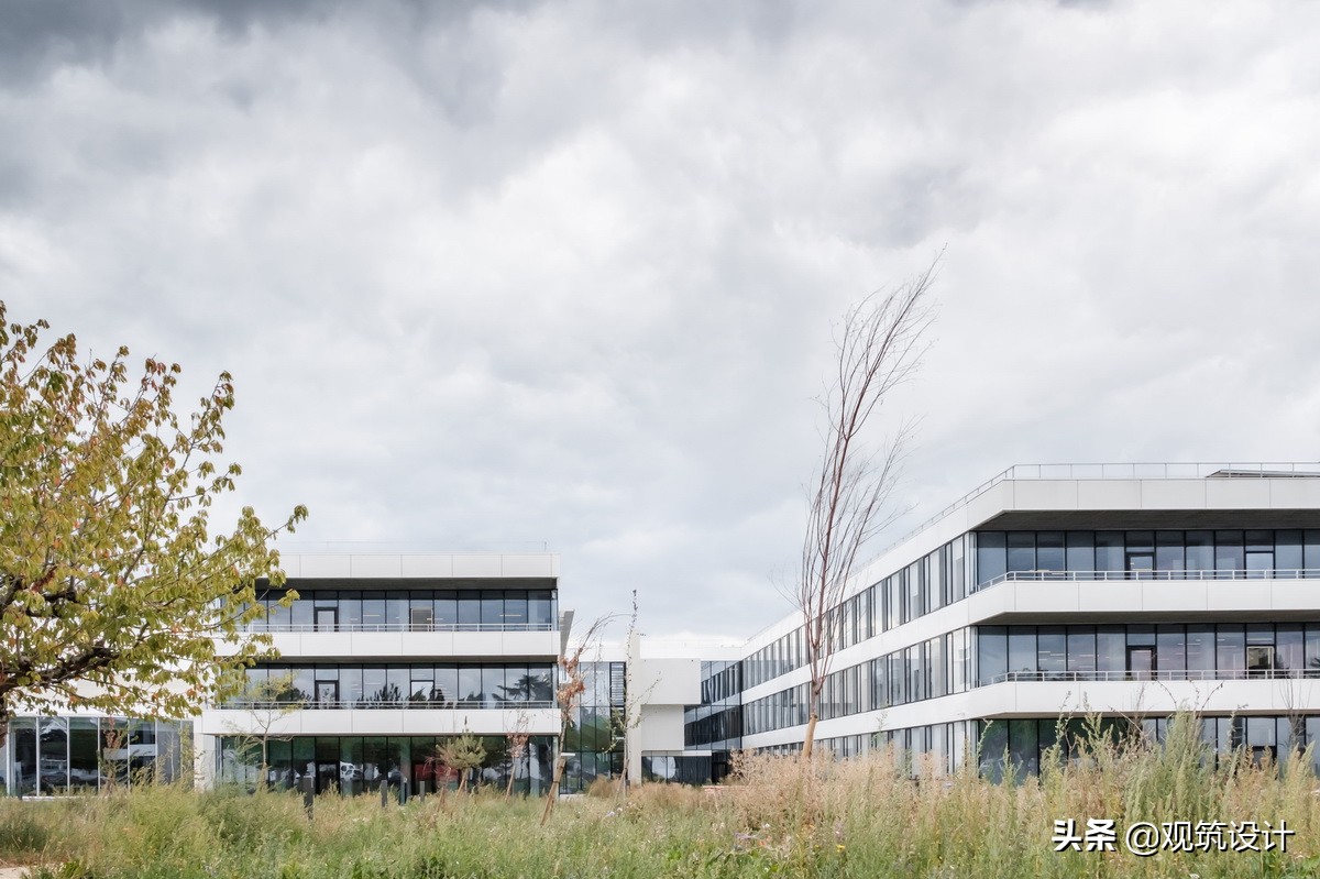 轻盈透明，曲直线的共舞：液化空气集团总部