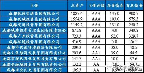 成都城投集团资产负债率,成都市政府地方城投债