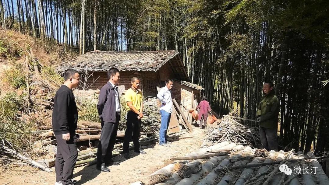 有特色接地气致富快长汀县涂坊镇激励性产业扶贫成效明显