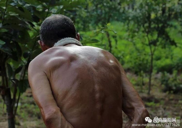 洛阳晚报作品,洛阳晚报2020年