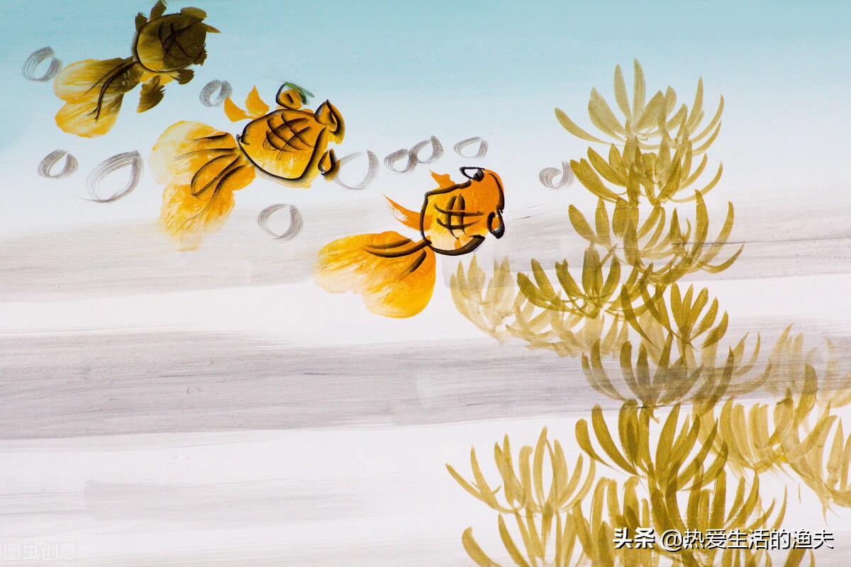 草金鱼长时间不喂食会饿死吗,草金鱼不喂食会不会饿死