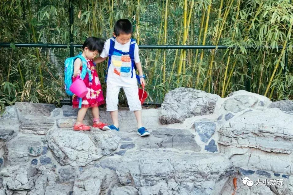 旅行必备好物遛娃神器,海边遛娃神器