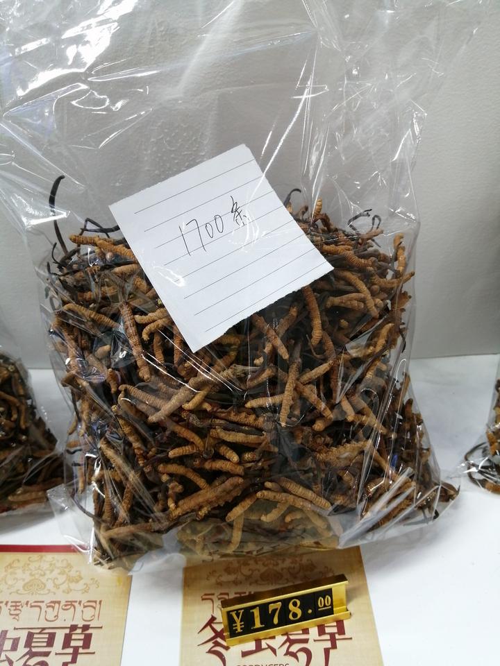 14万一斤的冬虫夏草,14万元一斤的冬虫夏草