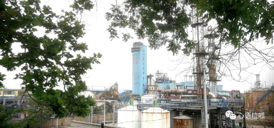 淄博曾经有合成氨和三十万