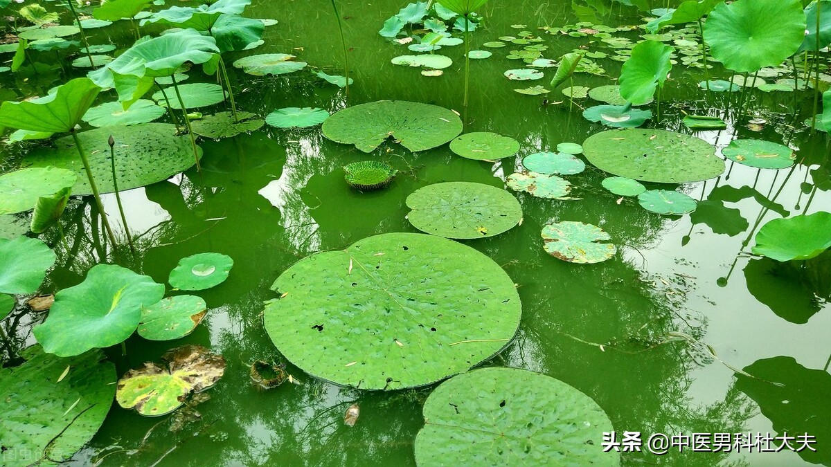 浑身无力腰膝酸软是阳虚的表现吗,脾阳虚引起腰膝酸冷
