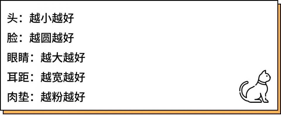 城市里养猫的人非富即贵,有多少人养猫家里有钱了