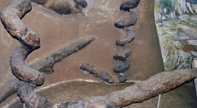 这种两米高的“魔鬼开瓶器”，是谁在几十万年前造出来的？