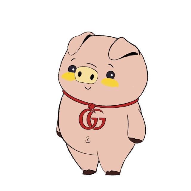 猪猪女生必备100种单品,猪猪女孩本命年必备款