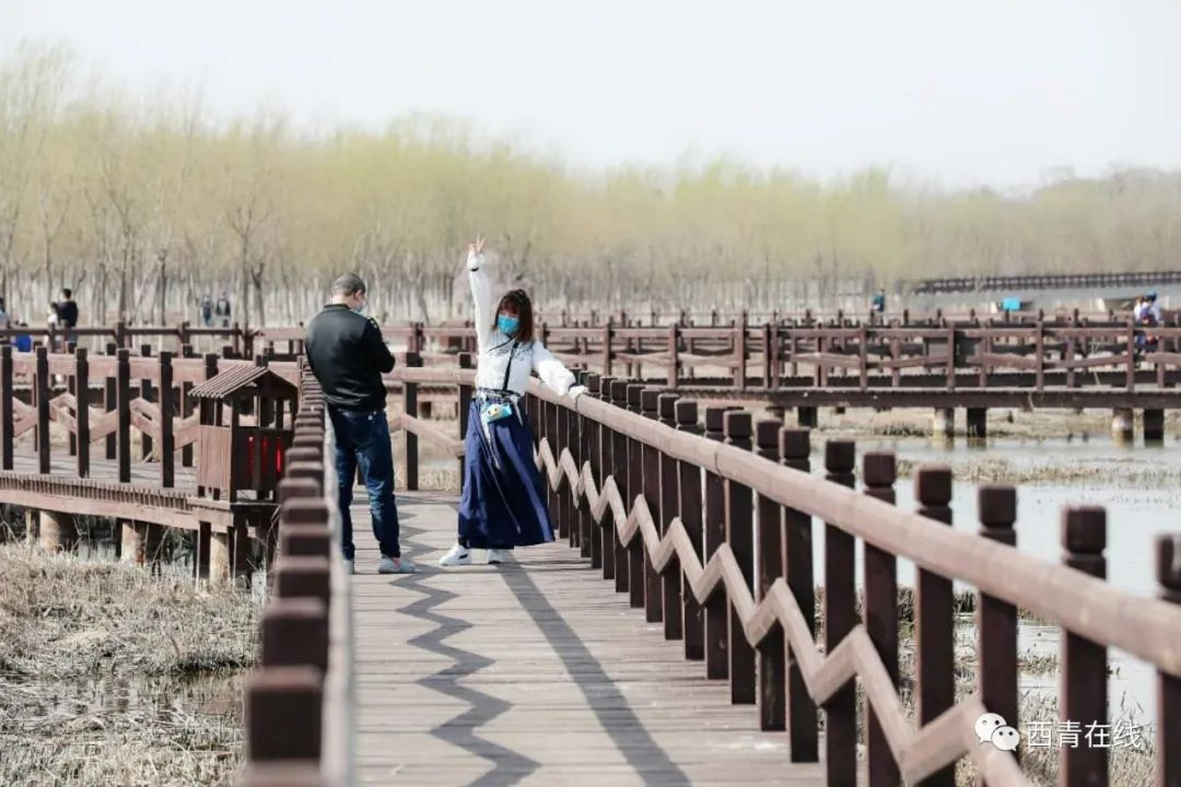 准备好了吗?亮码踏青,125座公园任你游!