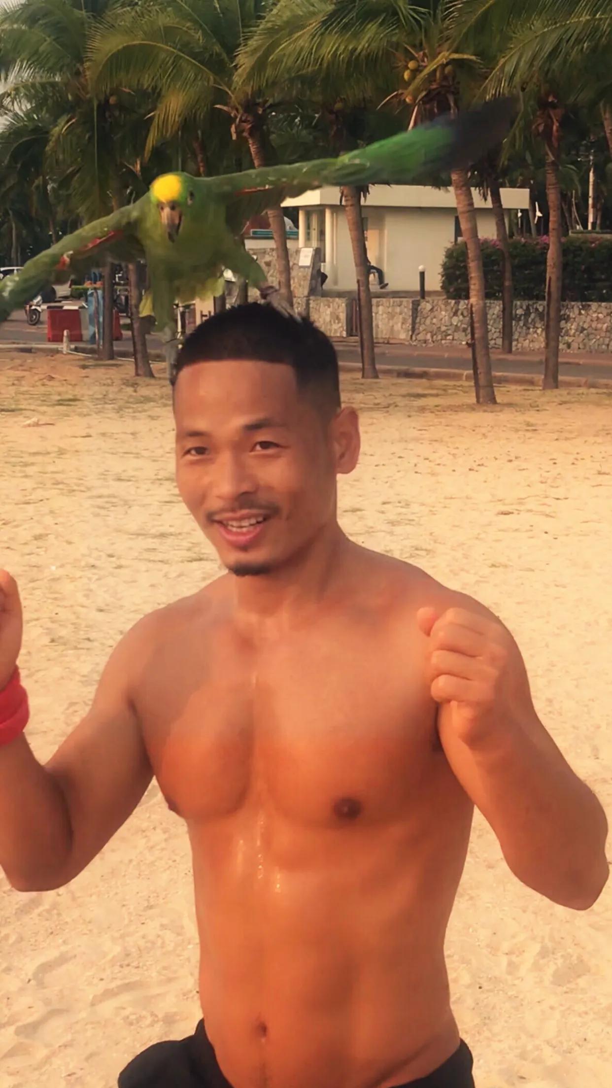 泰国的自然环境简介,泰国生态怎么样