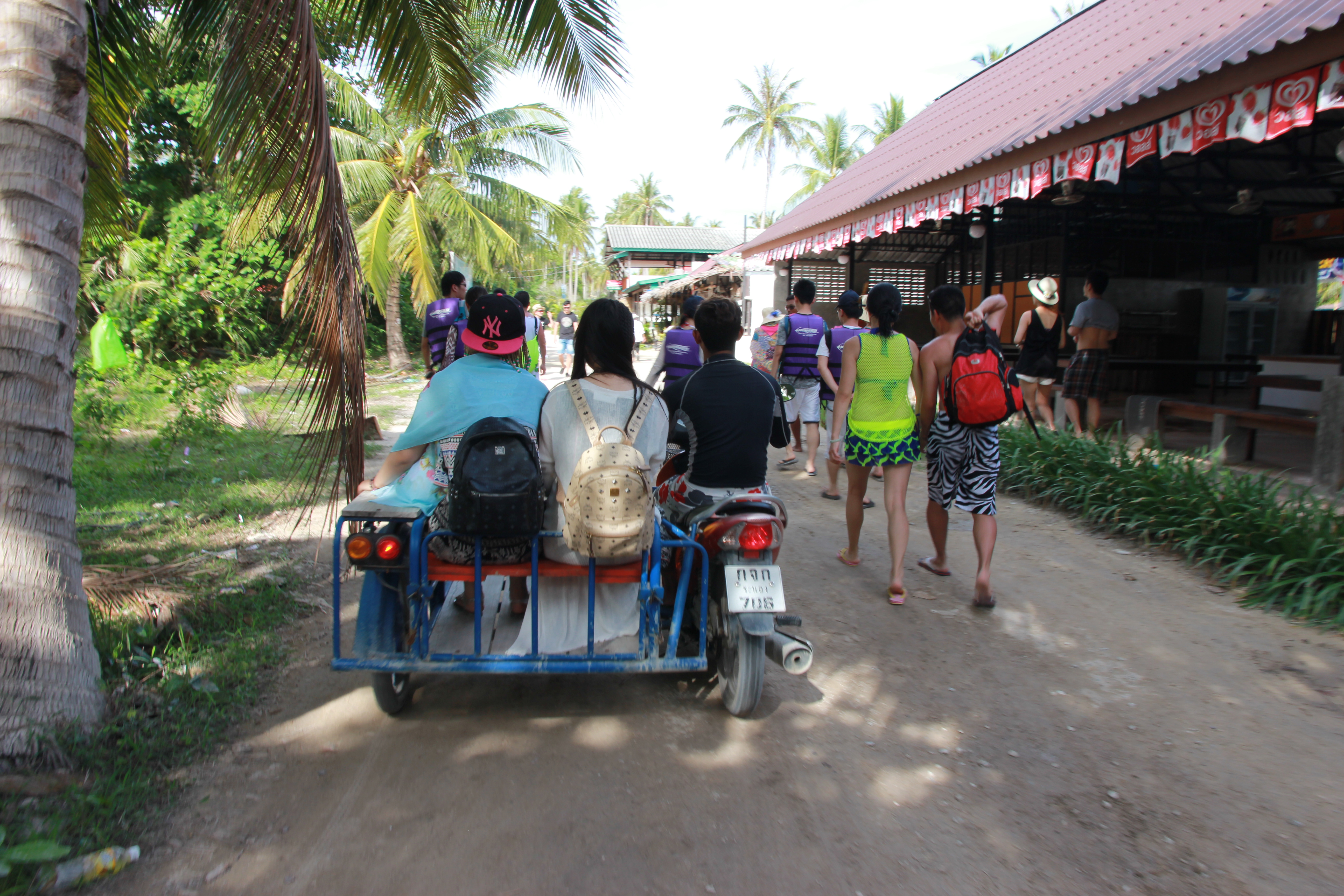 在普吉岛浮潜拍到的美妙海底世界 (普吉岛cape panwa hotel浮潜)