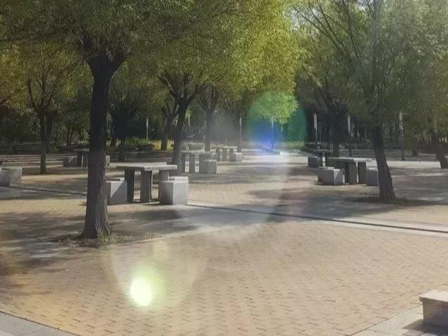 沈阳理工大学辽宁工程技术大学,沈阳理工大学专科院校