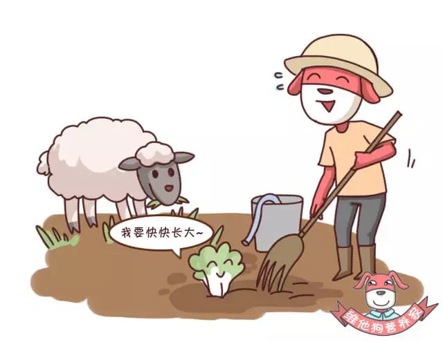 出远门就便秘怎么回事,突然之间便秘失眠