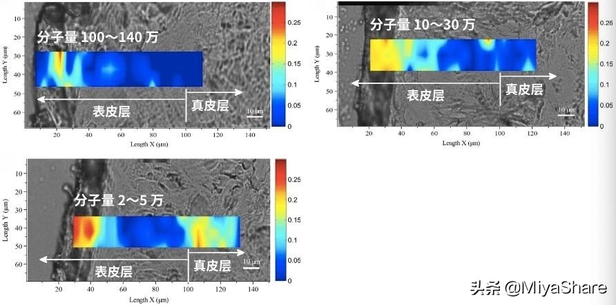 颐莲玻尿酸精华液老国货,颐莲次抛玻尿酸精华测评
