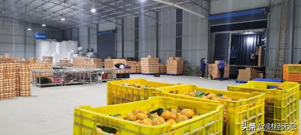 淘特近一天回复率为0怎么提升,淘特销量累积